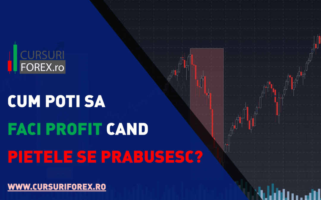Cum faci profit cand pietele financiare se prabusesc?