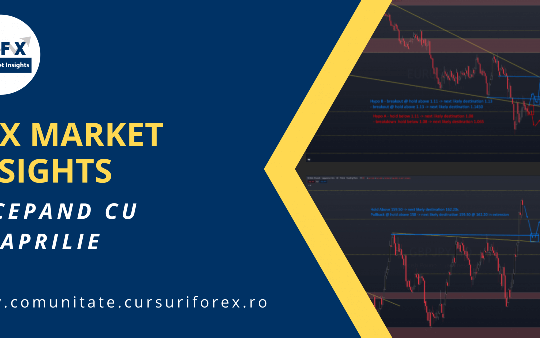Poti sa inveti trading din exemple?